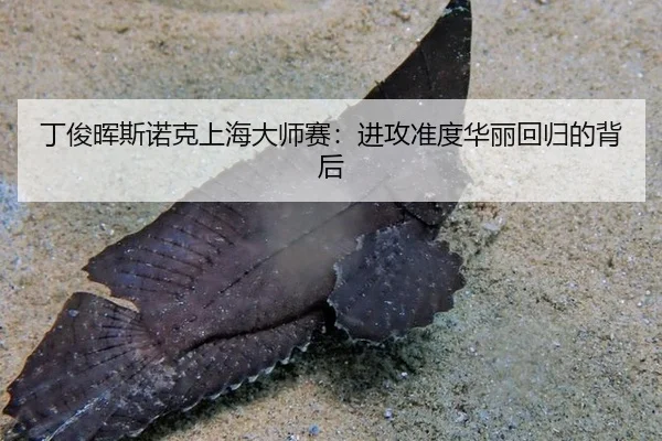 丁俊晖斯诺克上海大师赛：进攻准度华丽回归的背后