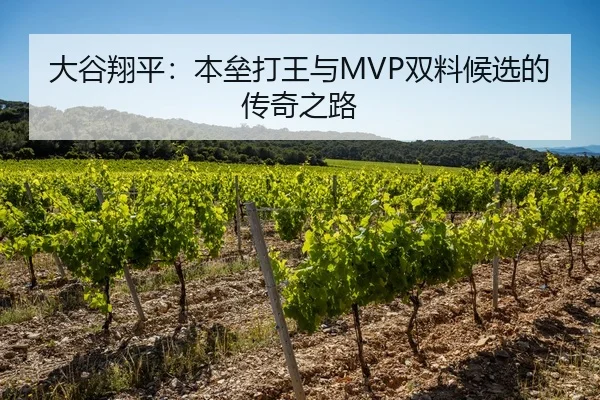 大谷翔平：本垒打王与MVP双料候选的传奇之路