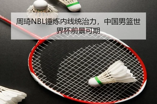 zhou-qi-chui-lian-nei-xian-tong-zhi-li-zhong-guo-nan-lan-shi-jie-bei-qian-jing-ke-qi-2-537.jpg