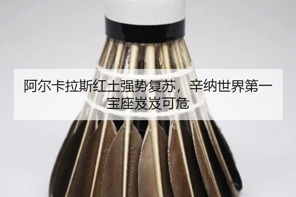 a-er-ka-la-si-hong-tu-qiang-shi-fu-su-xin-na-shi-jie-di-yi-bao-zuo-ji-ji-ke-wei-2-969.jpg
