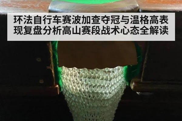 环法自行车赛波加查夺冠与温格高表现复盘分析高山赛段战术心态全解读